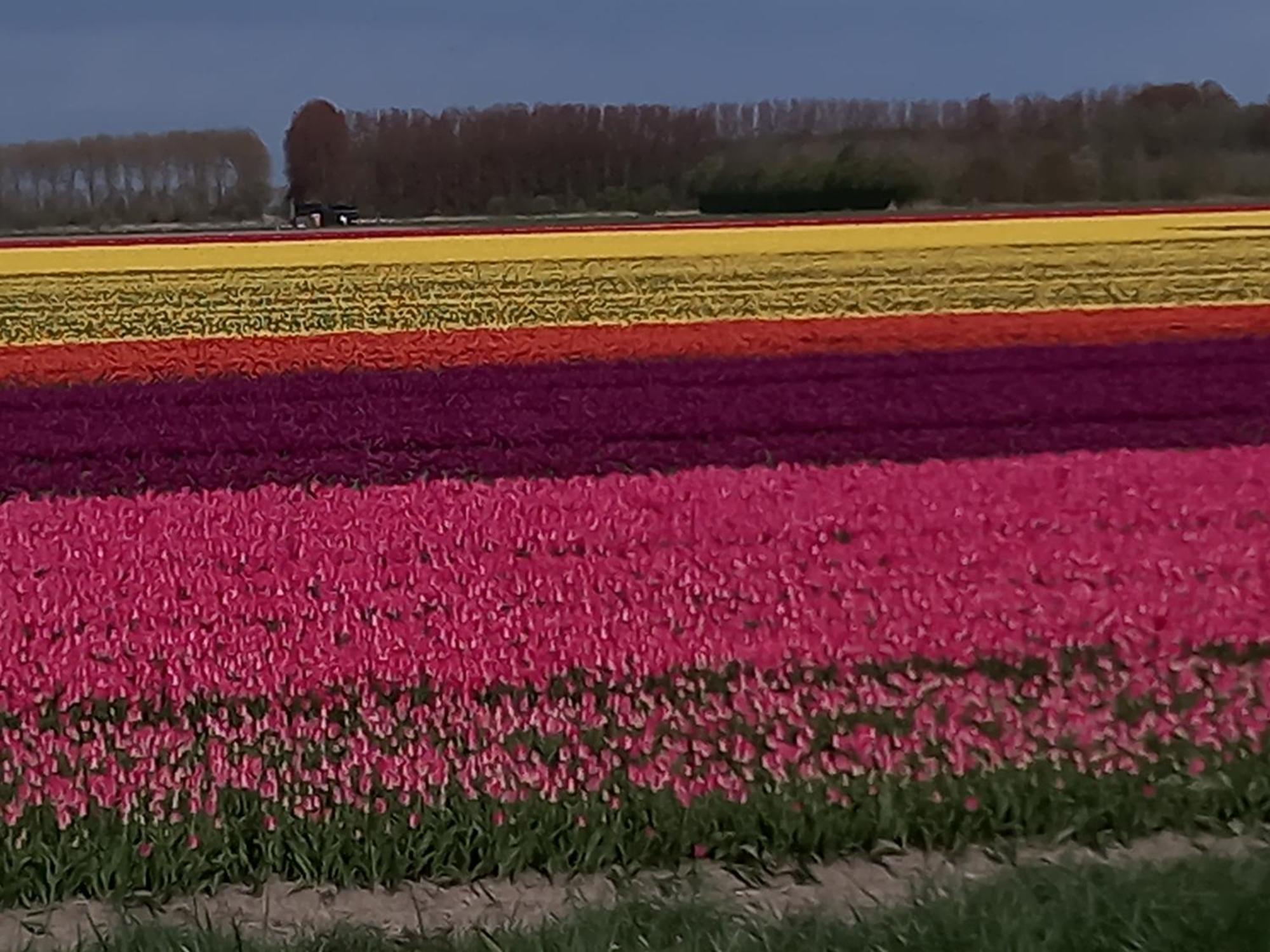 Klooster Achthuizen Bed & Breakfast ภายนอก รูปภาพ
